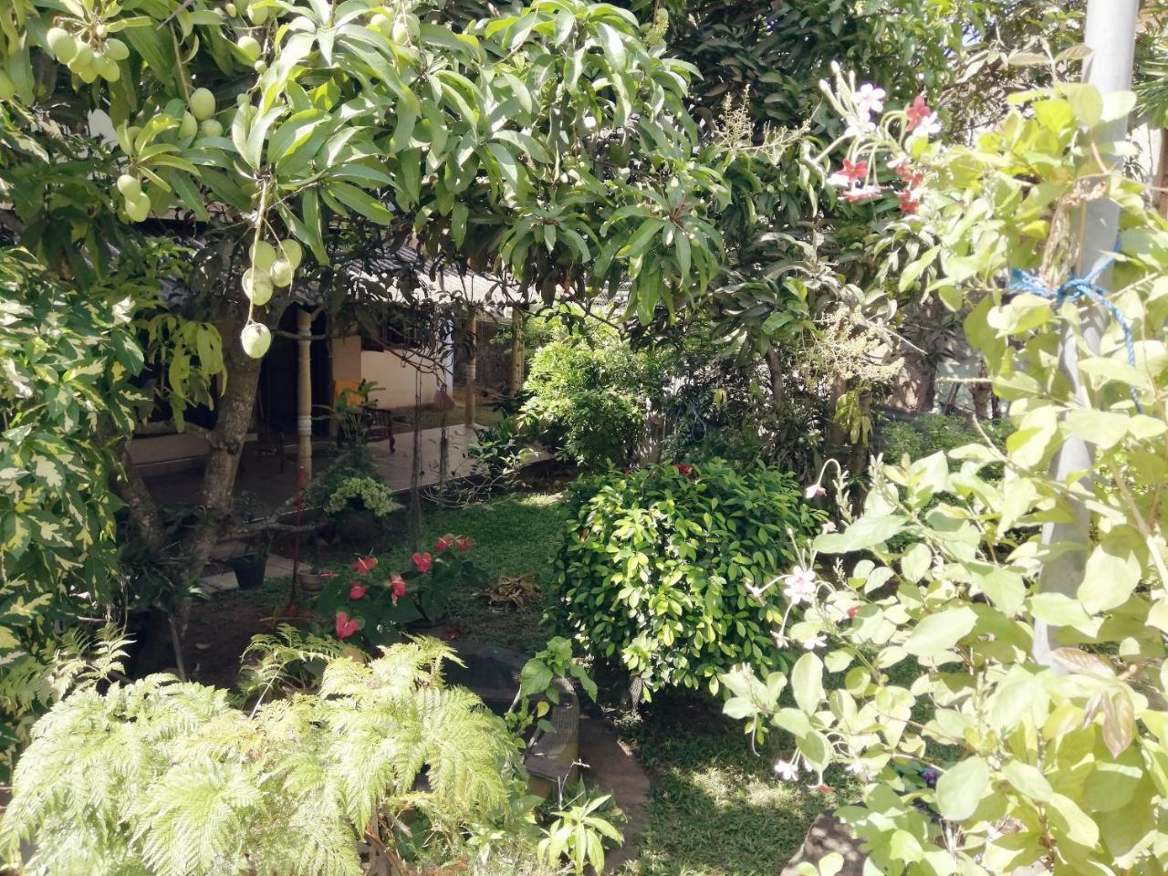 Nisadi Villa Bentota Extérieur photo